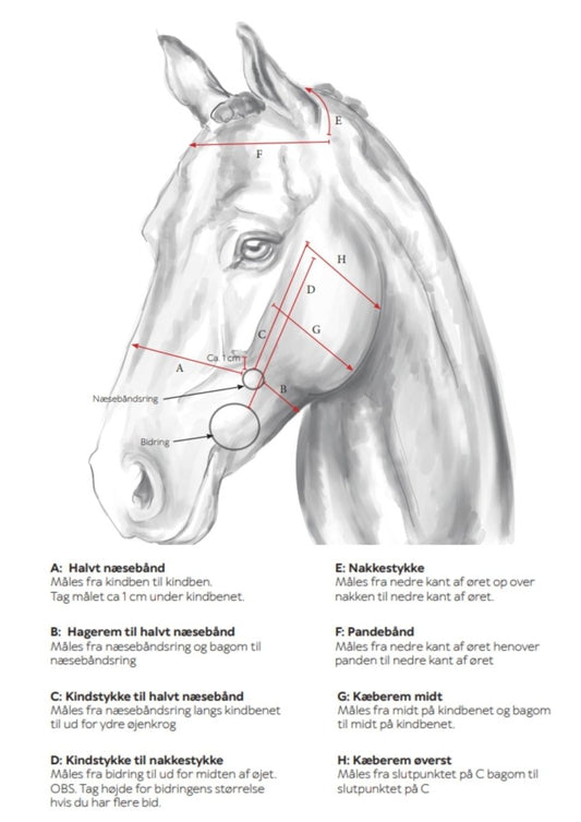 Sådan tager du de rigtige mål til din Gentle Bridle – en komplet guide! - animondo.dk