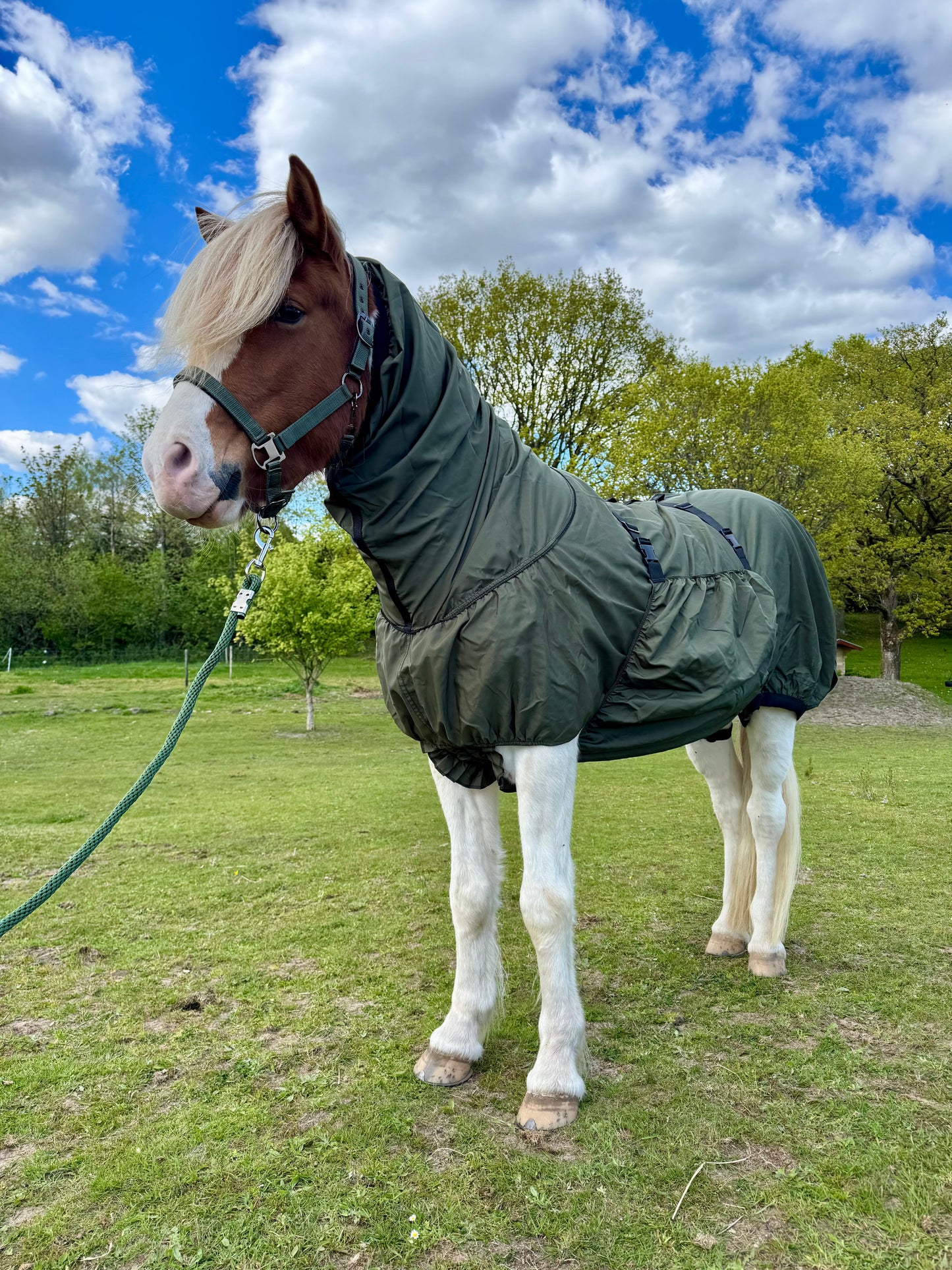 Cavalli Classic Grime med. Neopren - Mossgrön