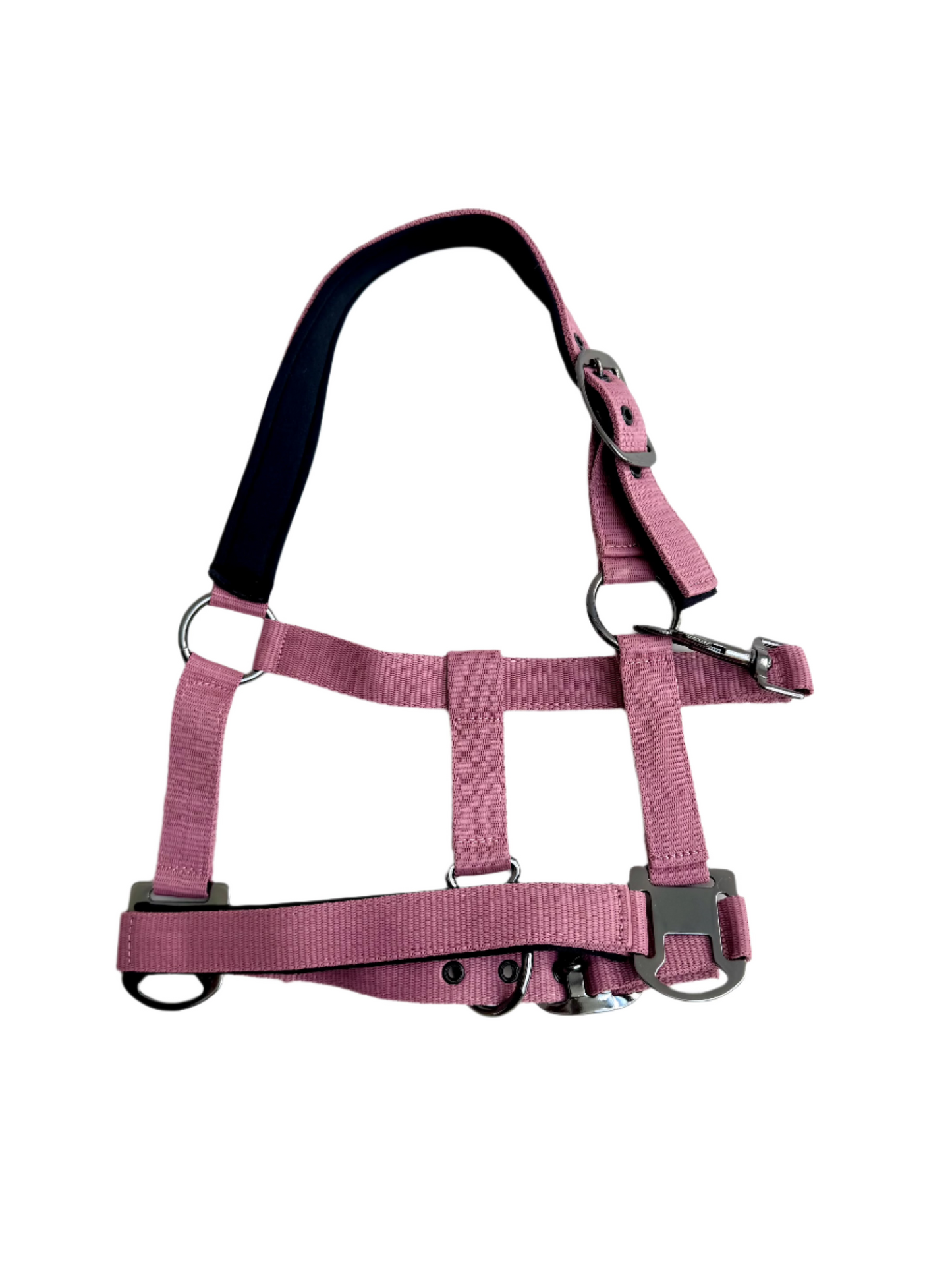 Cavalli Classic grimma med rem. Neopren - Old Rose