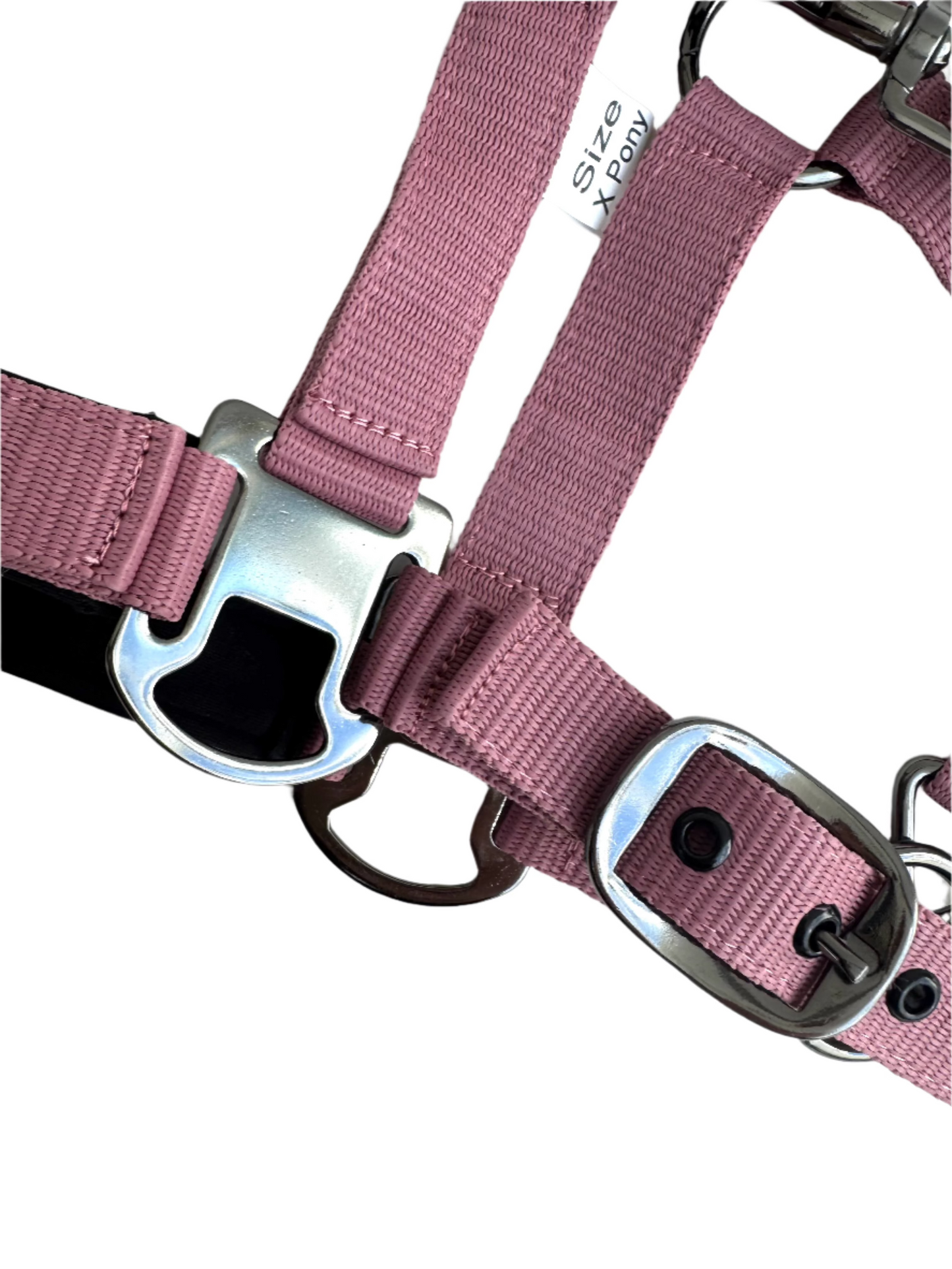 Cavalli Classic grimma med rem. Neopren - Old Rose