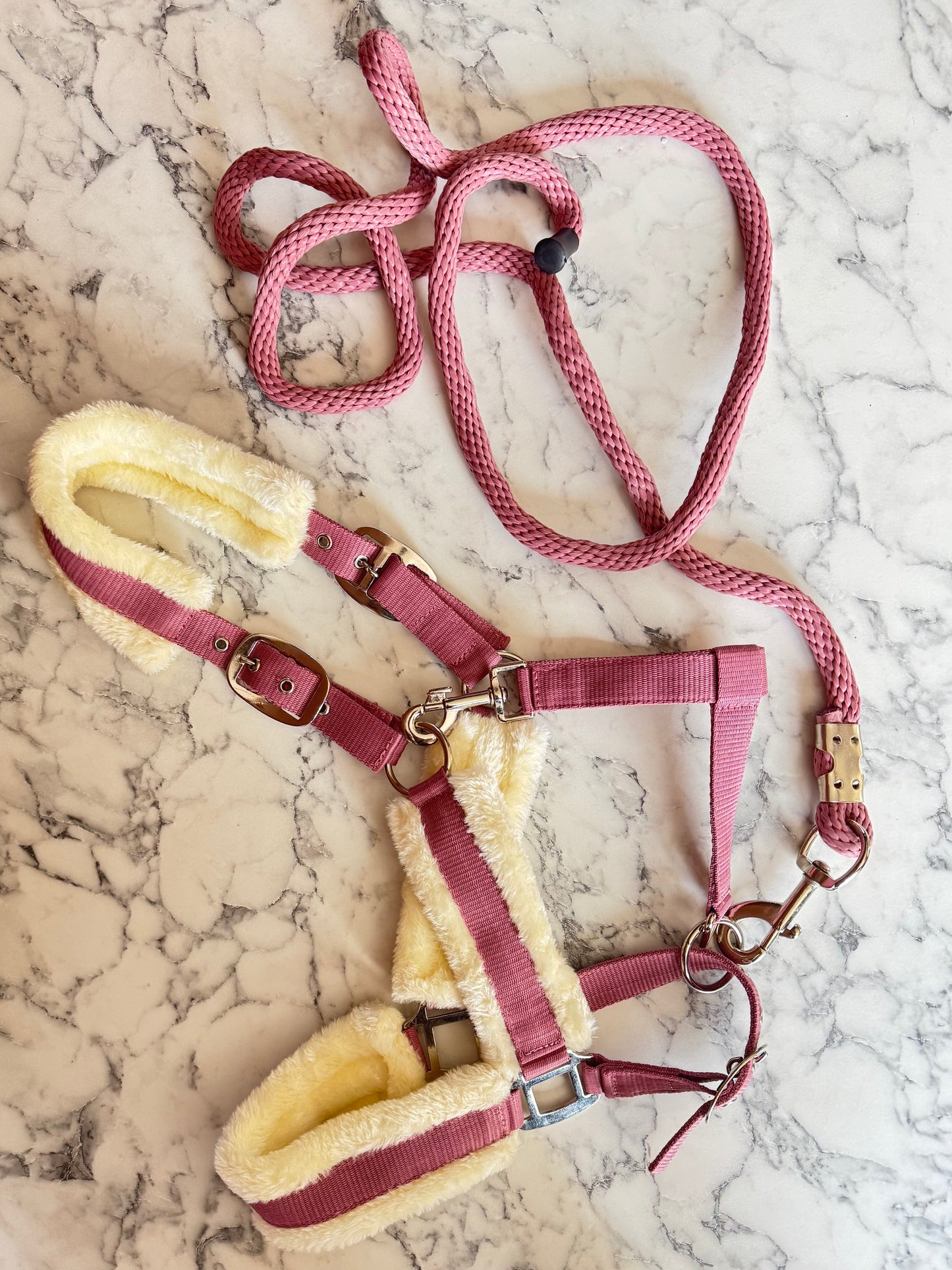 Cavalli Dragrep - Gammalrosa