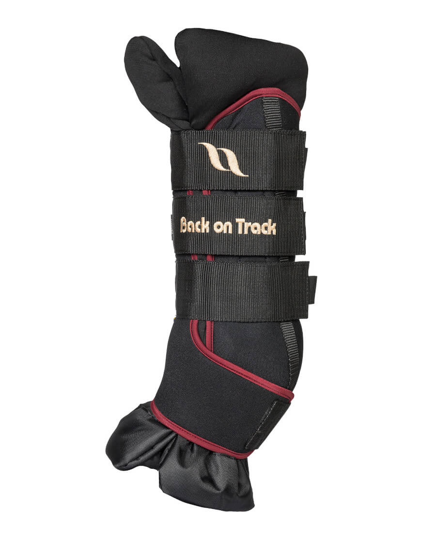 Back on Track - Staldbandage "Royal Deluxe" - Bordeaux - animondo.dk - 20334803