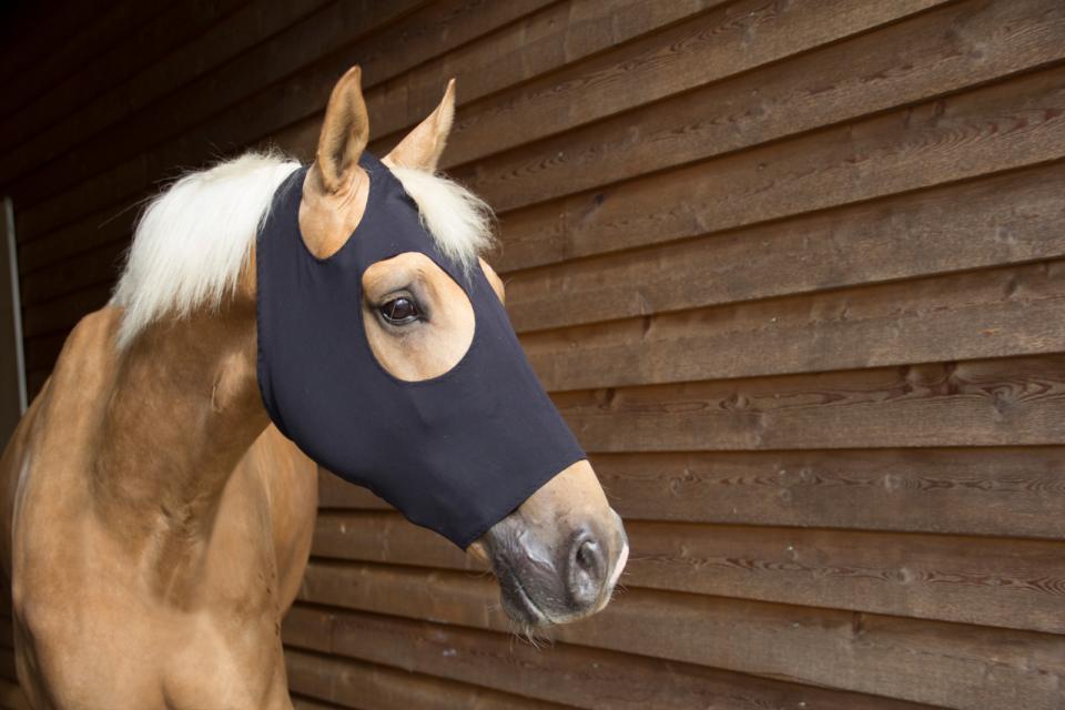 CATAGO FIR - Tech - Maske - animondo.dk - 50303001