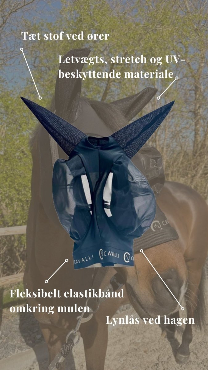 Cavalli Eksemdækken + Fluemaske m. ører – Limited Edition - animondo.dk -