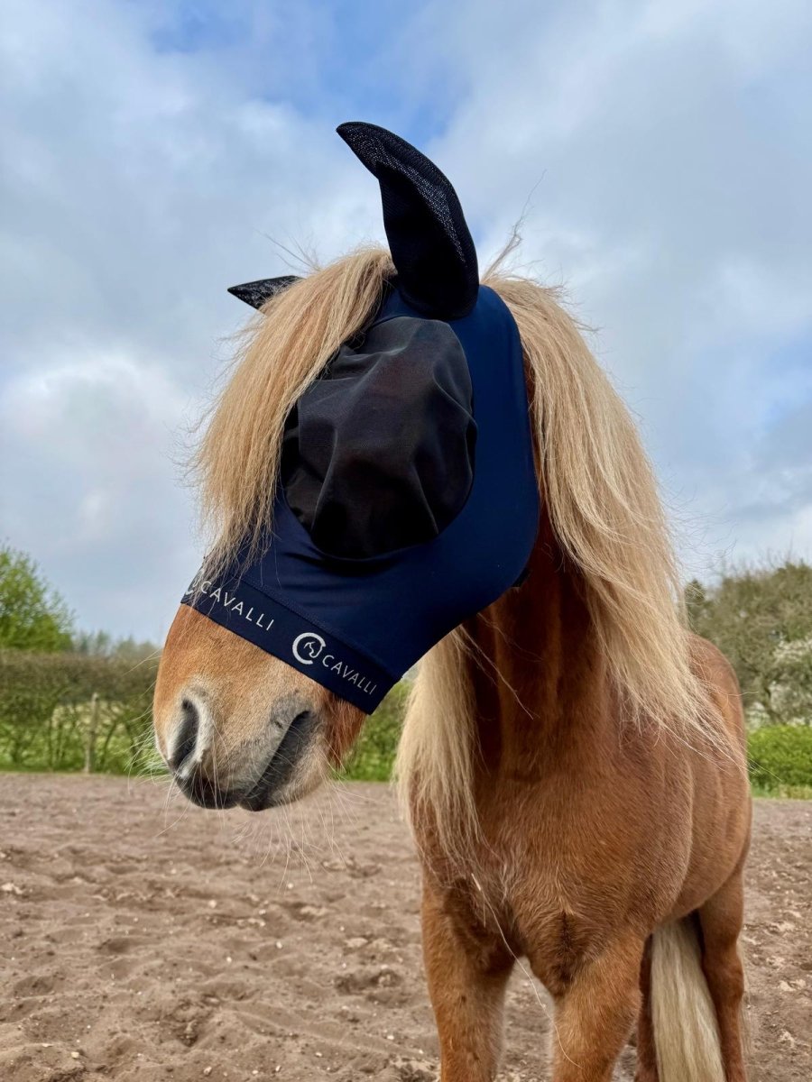 Cavalli Fluemaske m. ører - Navy 2025 - animondo.dk - Cav3300