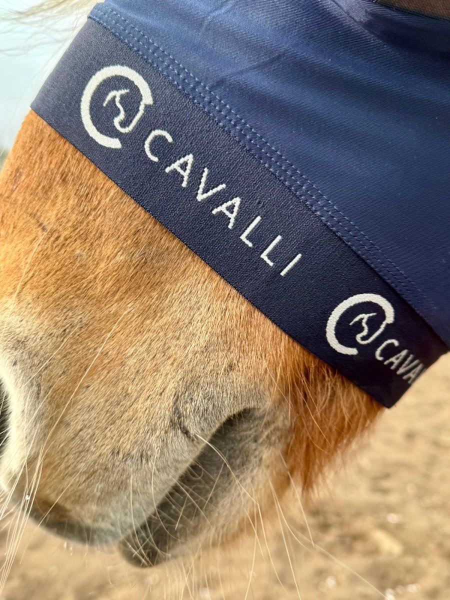 Cavalli Fluemaske u. ører - Navy 2025 - animondo.dk - Cav3400