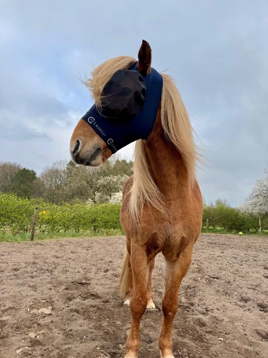 Cavalli Fluemaske u. ører - Navy 2025 - animondo.dk - Cav3400