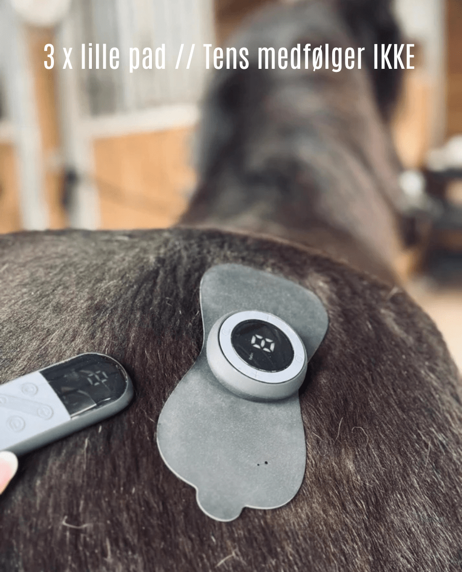 Equine LTS 3 x lille pad til Tens - animondo.dk - LTS40201-3stk