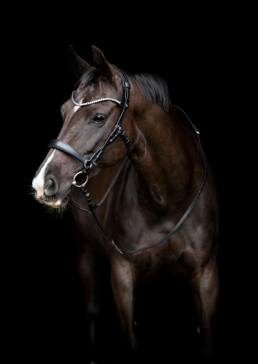 Gentle Bridle - Komplett träns m. tyglar - Storlek Full - Svart