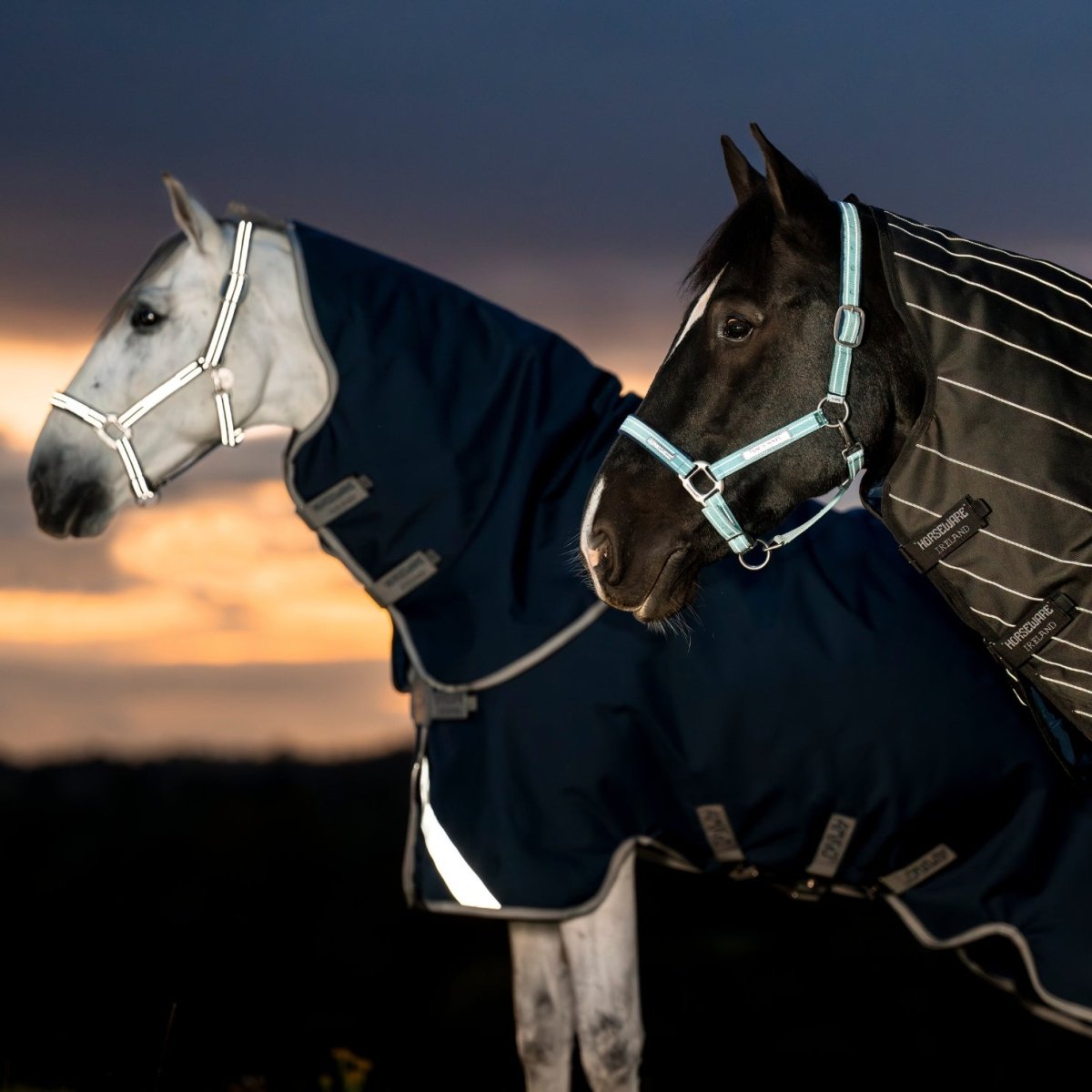 Horseware Amigo - 1200D Fieldsafe Plus Vinterdækken - 250 gram - Refleks/Sort - animondo.dk - AANPY5 - KRFK - 66