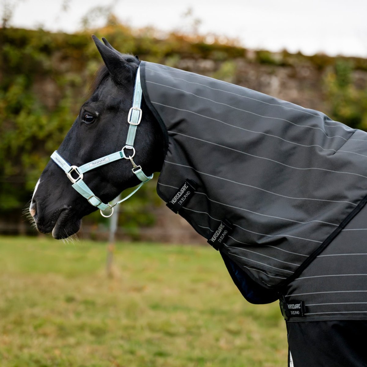 Horseware Amigo - 1200D Fieldsafe Plus Vinterdækken - 250 gram - Refleks/Sort - animondo.dk - AANPY5 - KRFK - 66