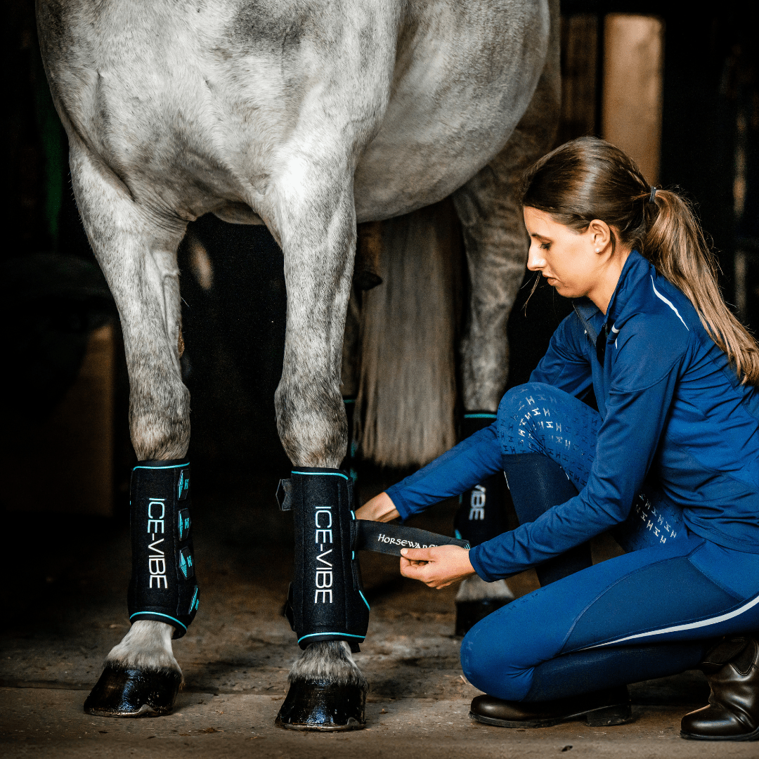 Horseware - Ice - Vibe - Kølegamacher m. vibration - animondo.dk - TAHTP1 - KDA0 - FU
