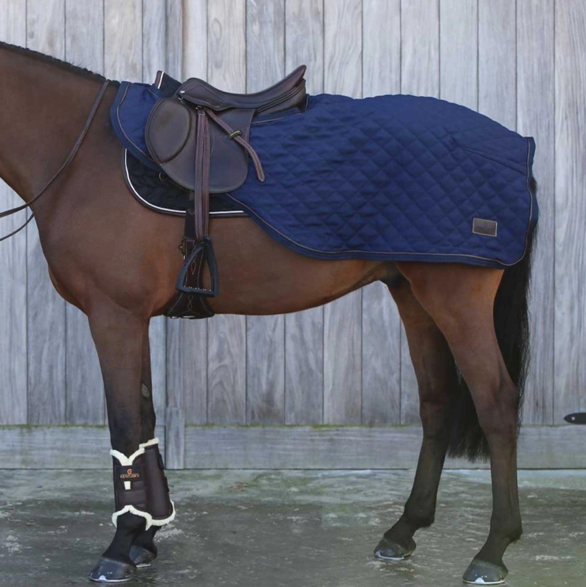 Kentucky Horsewear - Ridedækken 160 gram - Navy - animondo.dk - 52107 - 03 - M