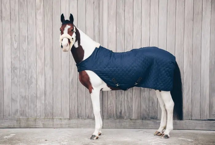 Kentucky Horsewear - Walker Rug 160 gram - Navy - animondo.dk - 52105 - 03 - 140