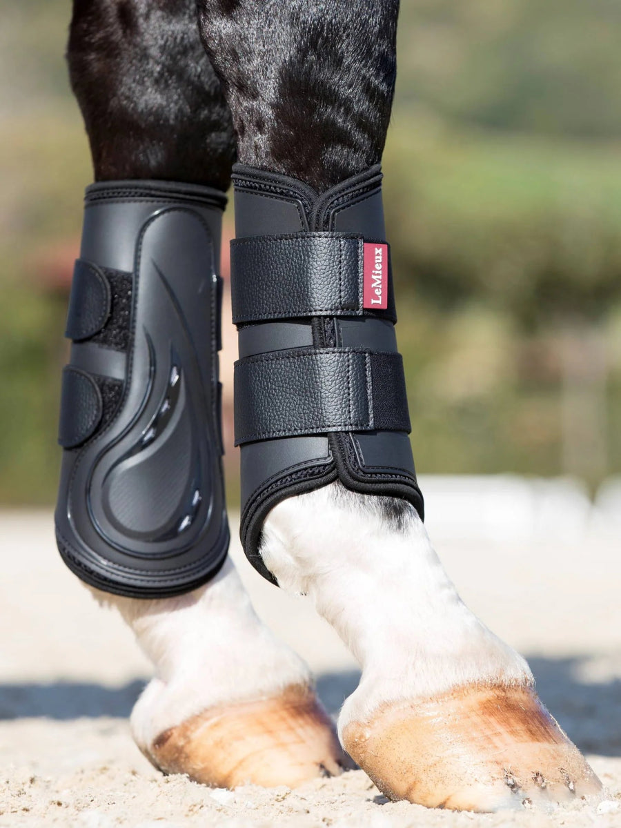 LeMieux - ProShell Dressurgamacher - Sort - animondo.dk - IT00635004