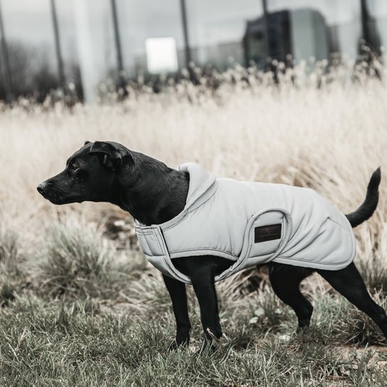 Dog coat reflective & water repellent belly cover Silver 150g - animondo.dk