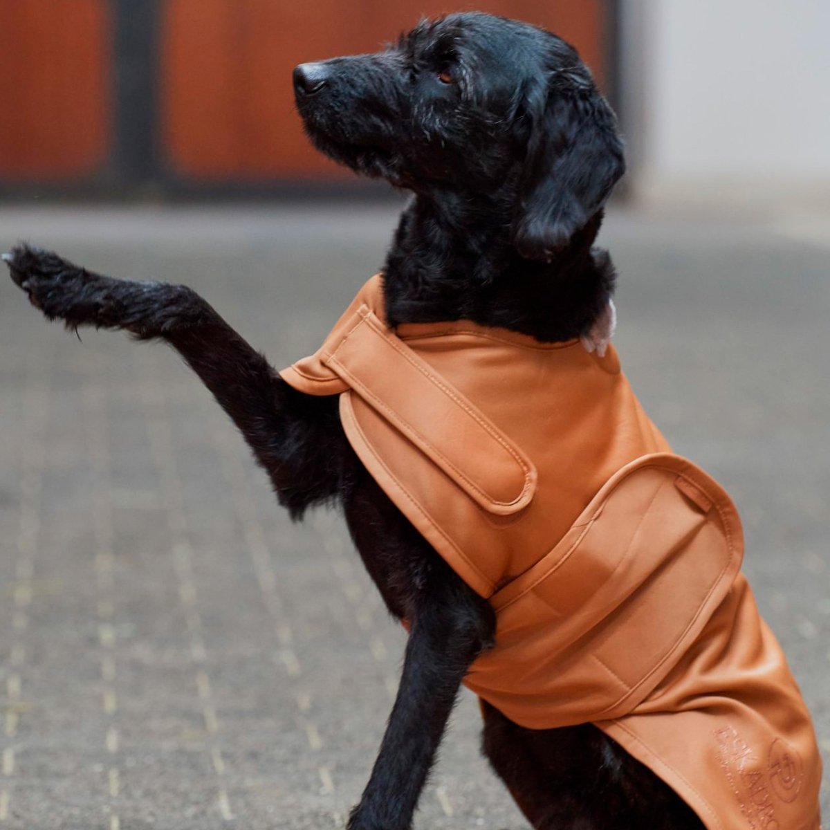 Eskadron Regnjakke - "Platinum 23" - Cognac - animondo.dk - SS23 - 180539331640 - 30