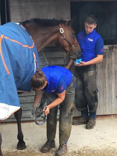 Horslyx Mini Mint - animondo.dk