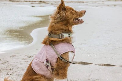 Hurtta Kølevest - Babypink - animondo.dk - H934020