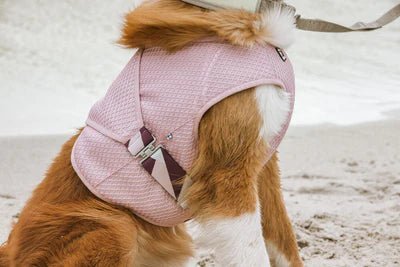 Hurtta Kølevest - Babypink - animondo.dk - H934020