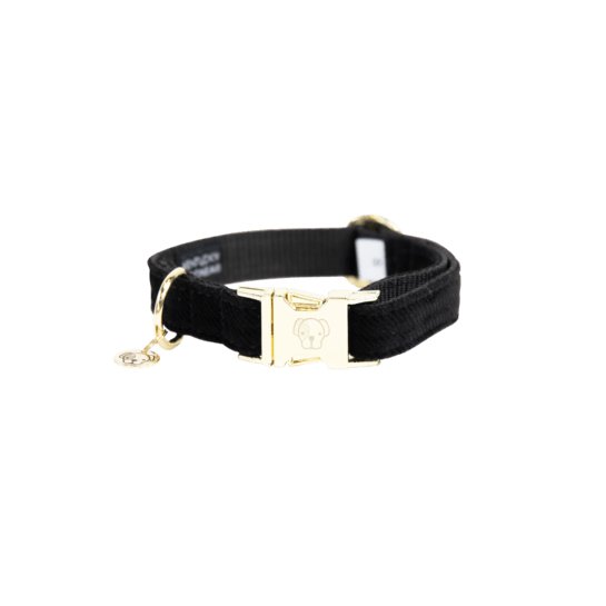 Kentucky Dog Collar corduroy - Sort - animondo.dk