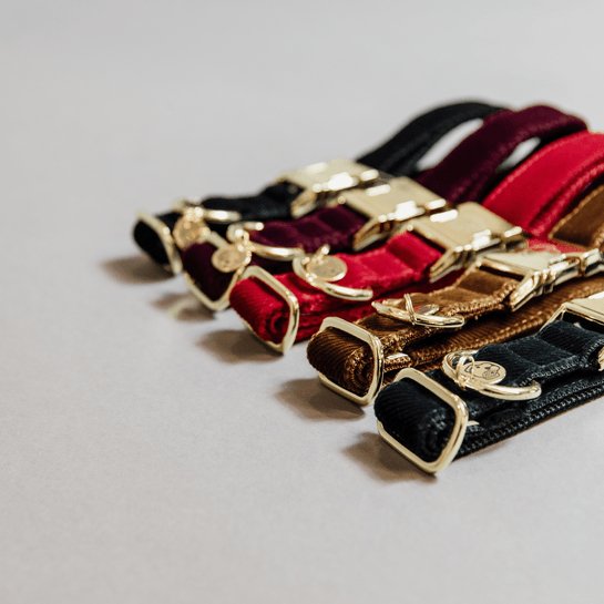 Kentucky Dog Collar corduroy - Sort - animondo.dk