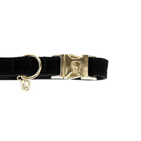 Kentucky Dog Collar corduroy - Sort - animondo.dk