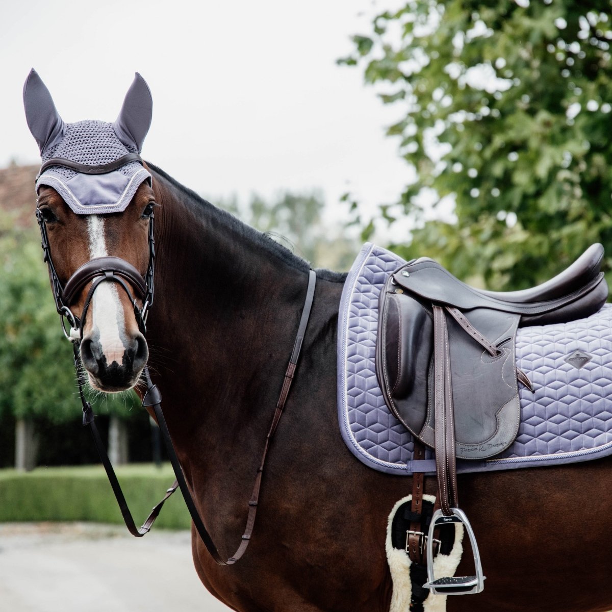 Kentucky Horsewear Wellington Velvet Hut - Lilla - animondo.dk - 42626 - 75 - F