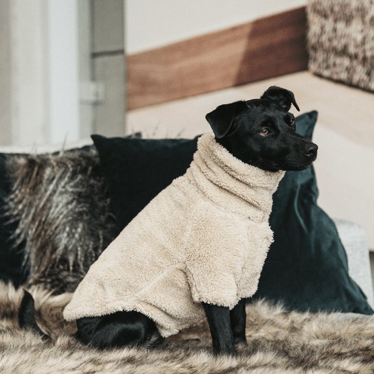 Kentucky Hundesweater Teddy Fleece - Beige - animondo.dk