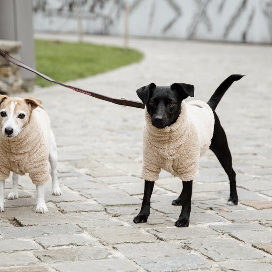 Kentucky Hundesweater Teddy Fleece - Beige - animondo.dk