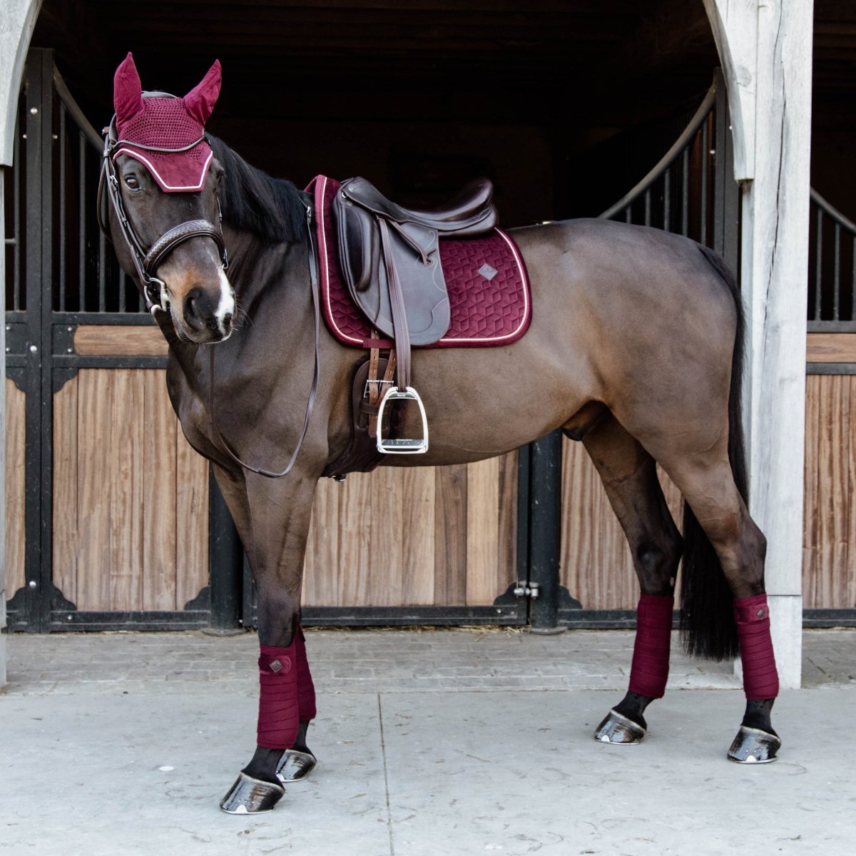 Kentucky - Velour Dressur Underlag - Bordeaux - animondo.dk - 42579 - 17 - DR