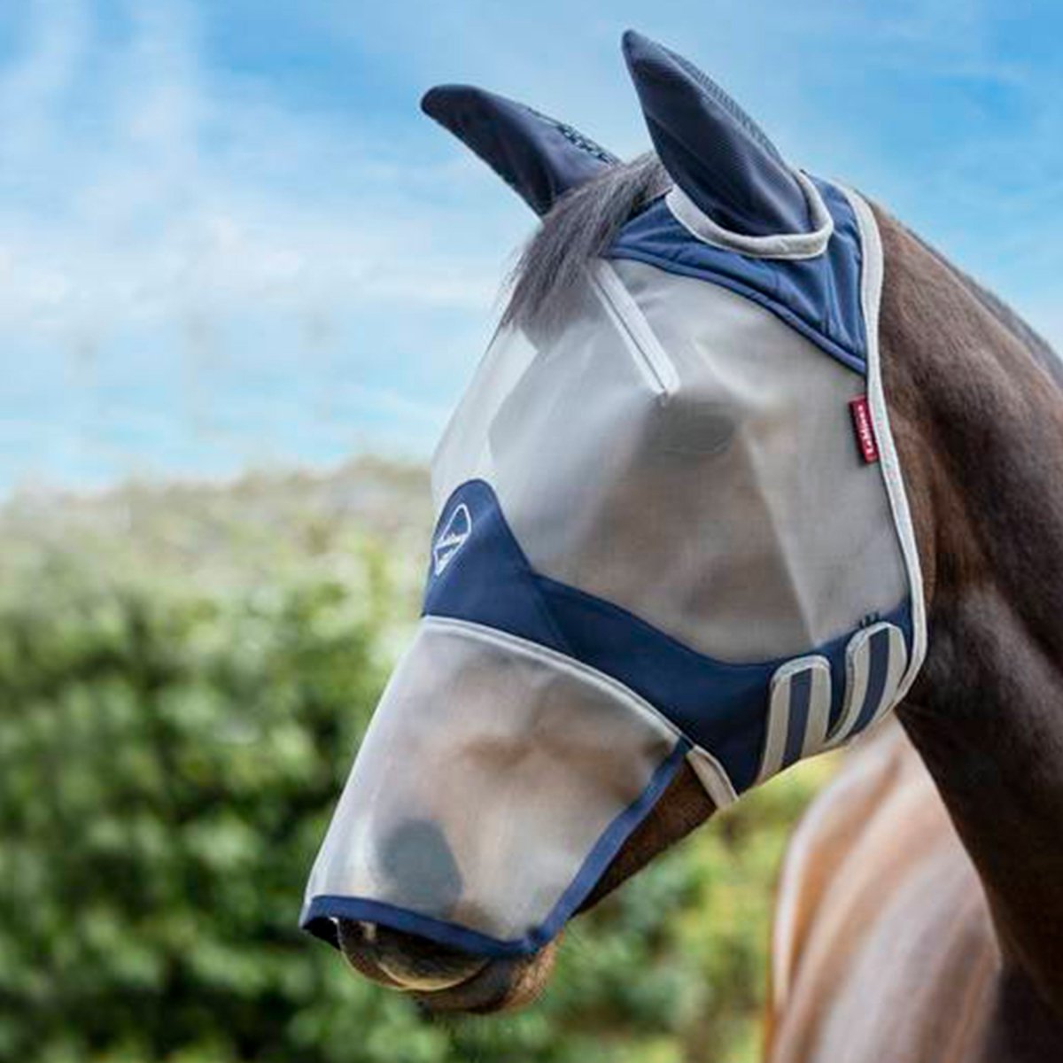 Lemieux Armour Shield Pro Full Fluemaske - Navy - animondo.dk