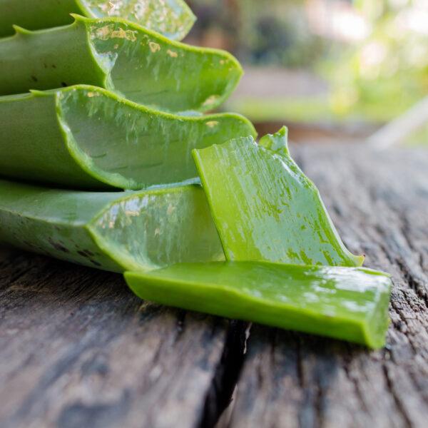 Nathalie Horse Care Aloe Vera Gel - animondo.dk