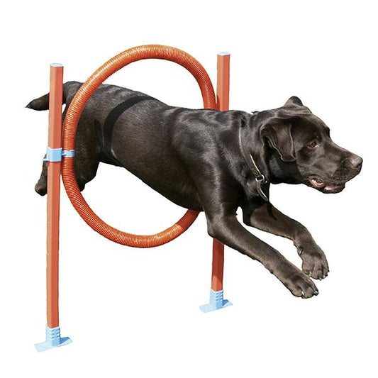 Trixie - Agility Ring - Ø51 cm