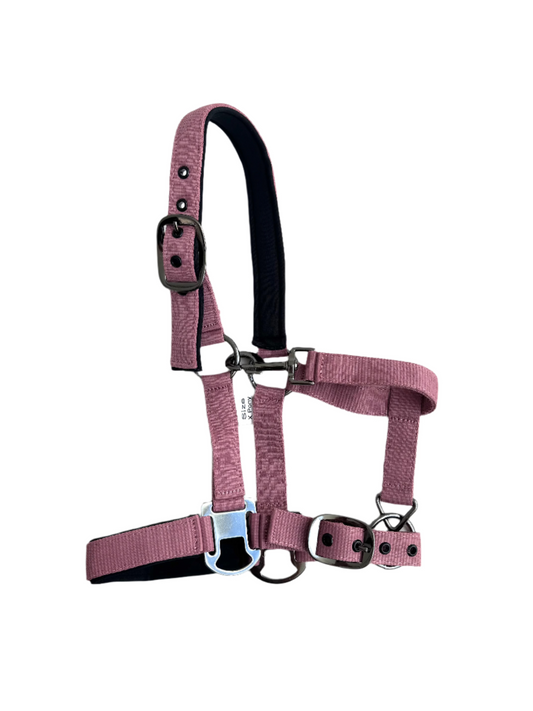 Cavalli Classic grimma med rem. Neopren - Old Rose