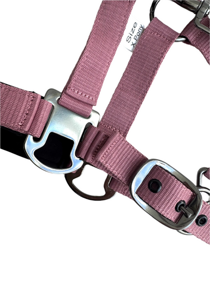 Cavalli Classic grimma med rem. Neopren - Old Rose