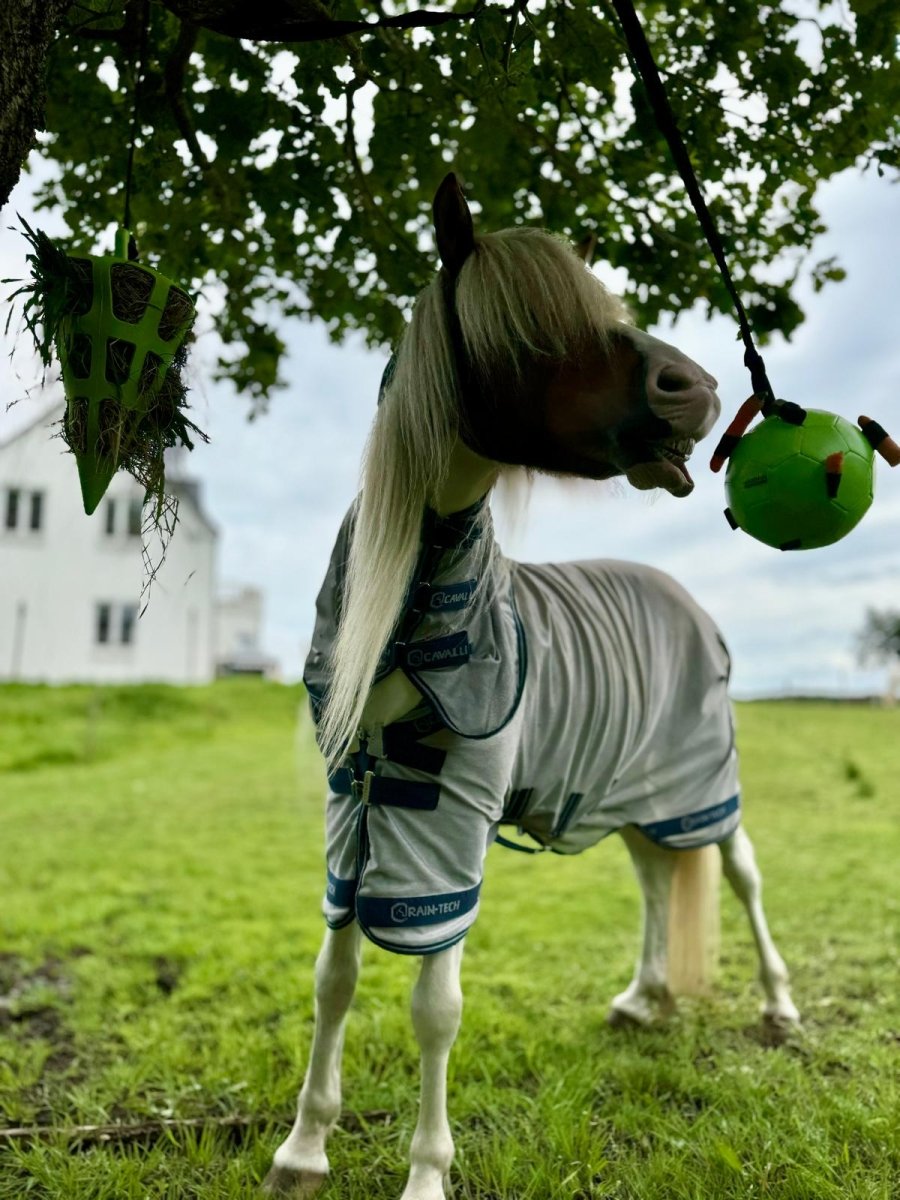 Aktivitetslegetøj - Bold til gulerødder - Grøn - animondo.dk - MAXI5303