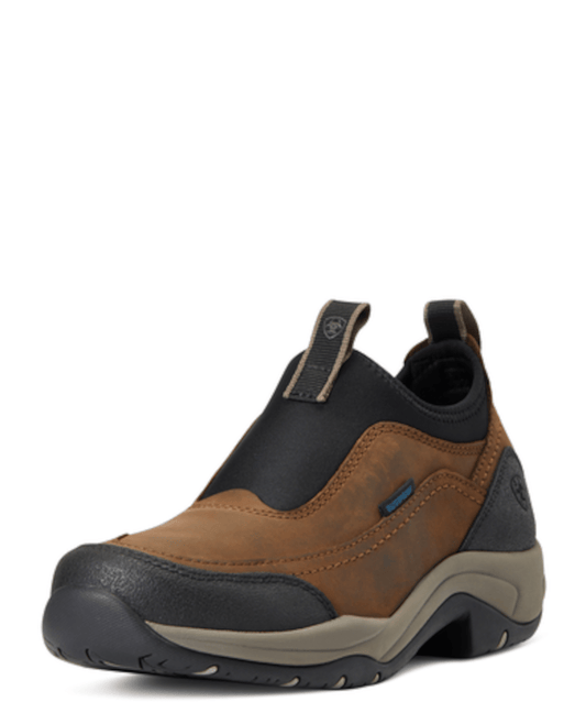 Ariat - Terrain Ease H2O - Brun - dame - animondo.dk - 10040234001