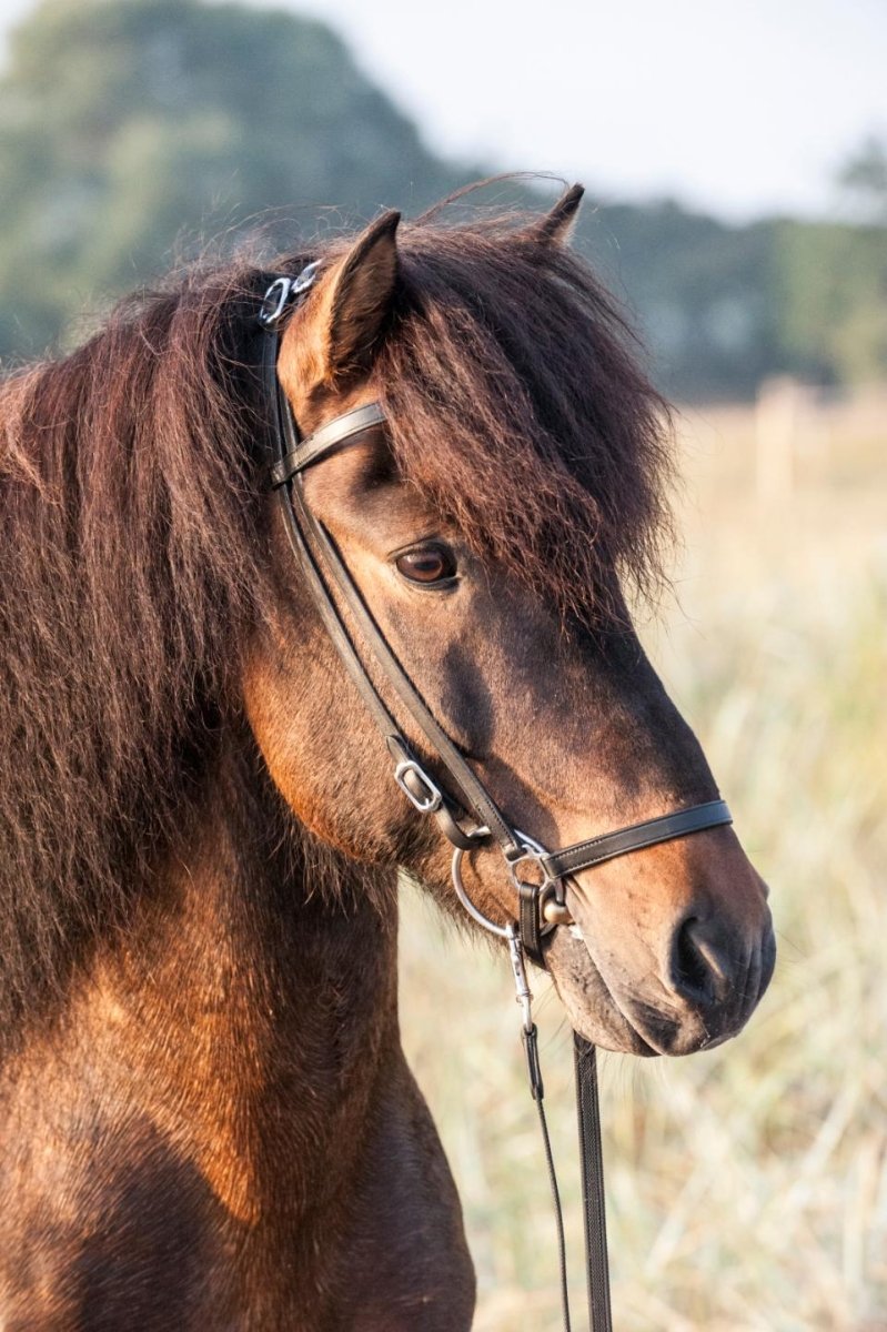 CATAGO - Classic Islændertrense - animondo.dk - 43613001