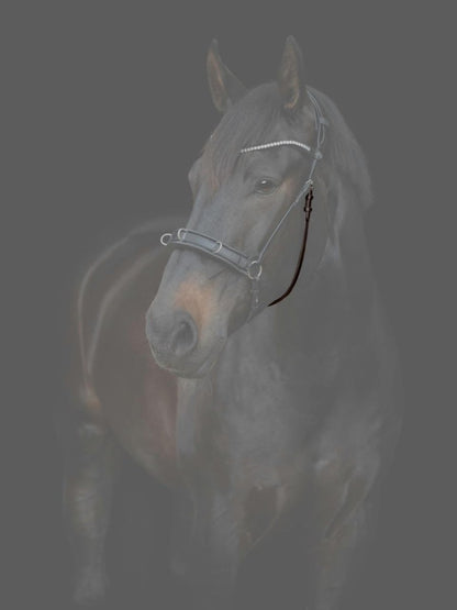 CATAGO - Gentle Bridle Kæberem m. Spænder - Brun - animondo.dk - 800342002