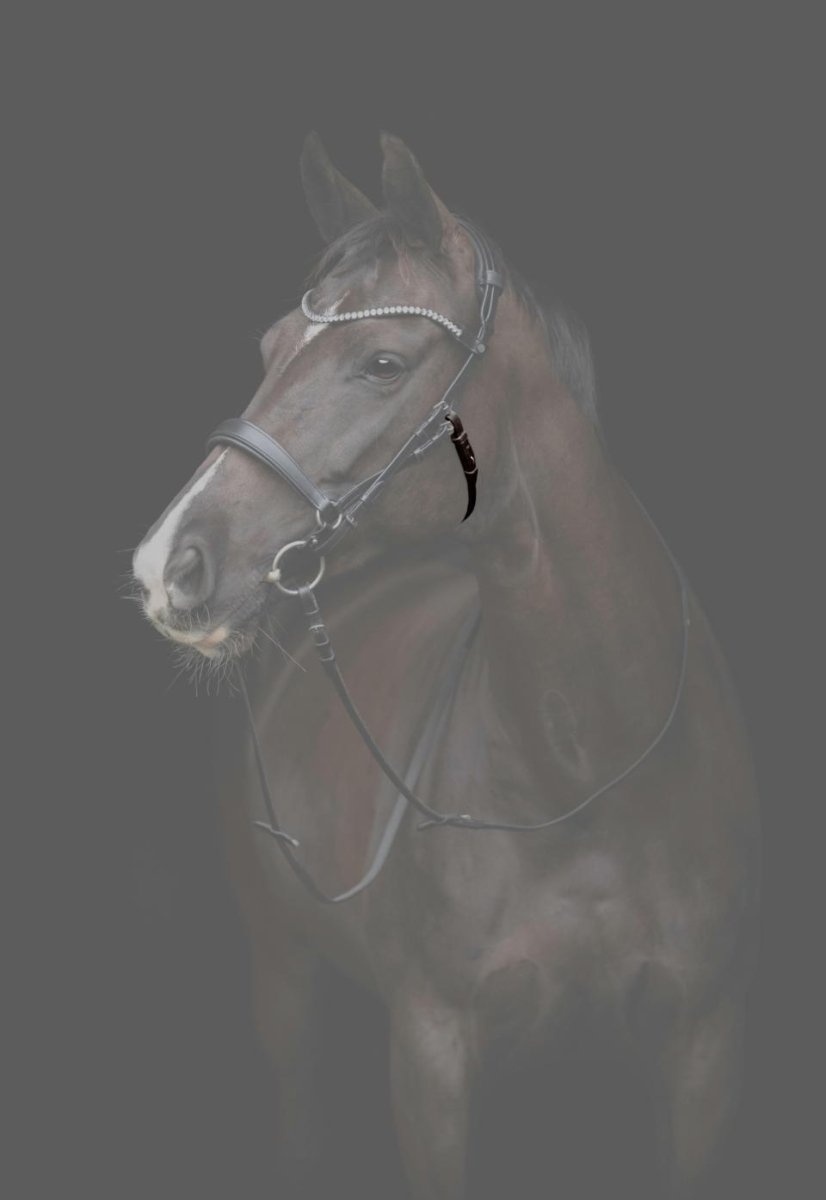 CATAGO - Gentle Bridle Kæberem u. Spænder - Brun - animondo.dk - 800322002