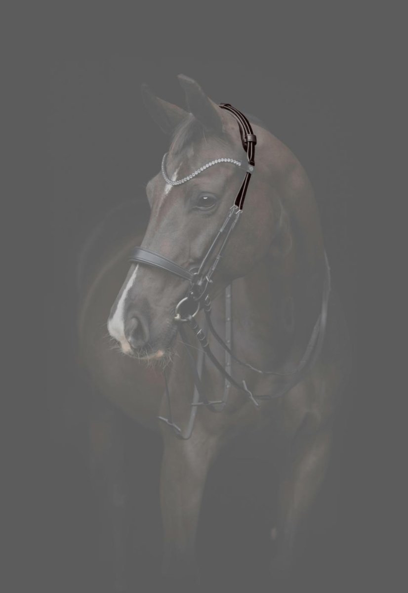 CATAGO - Gentle Bridle Nakkestykke m. Fyld - Brun - animondo.dk - 800262002