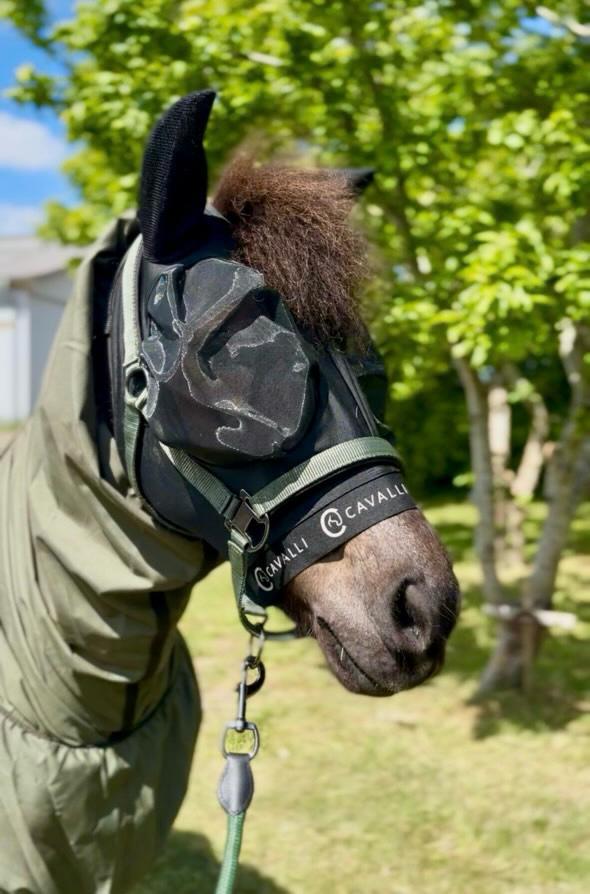 Cavalli Fluemaske m. ører - Sort 2025 - LIMITED EDITION! - animondo.dk - Cav3305