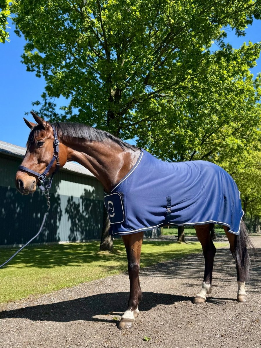 Cavalli Softshell Air Sveddækken - Navy - animondo.dk - CAV3900