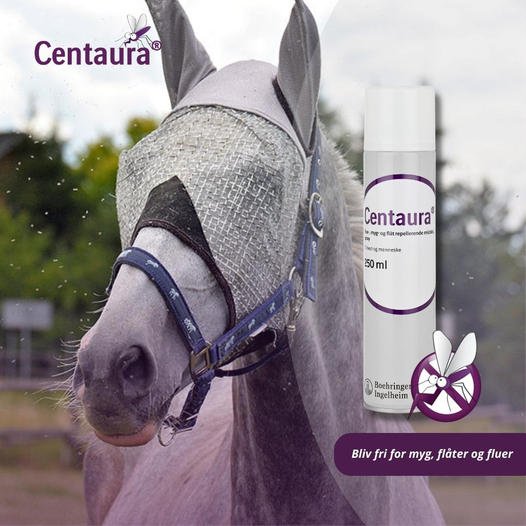 Centaura Insektspray - til Hest & Hund - 250 ml - animondo.dk - 23-061