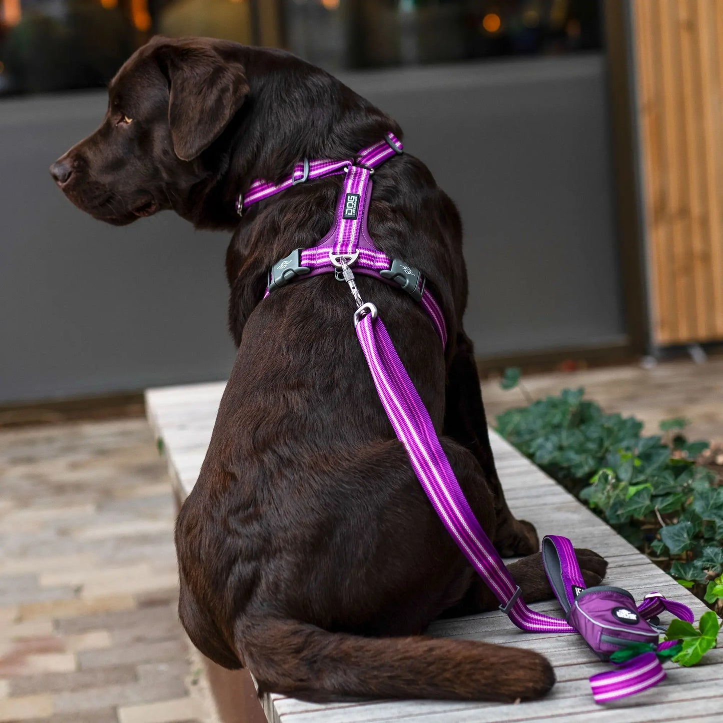 Dog Copenhagen - "Comfort Walk Air™" Sele - Rosa