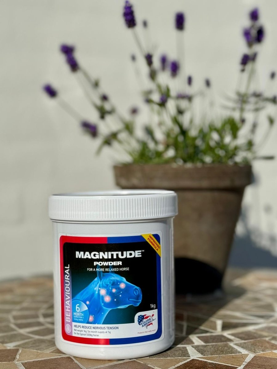 Equine America Magnitude - nerver og fokus - 1 KG - animondo.dk - EQ243-UK