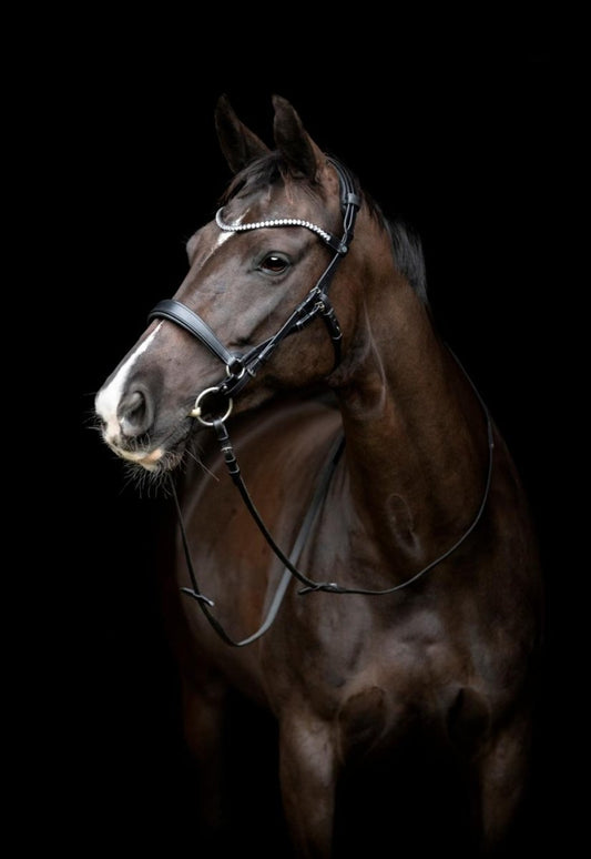 Gentle Bridle - Komplett träns m. tyglar - Storlek Full - Svart