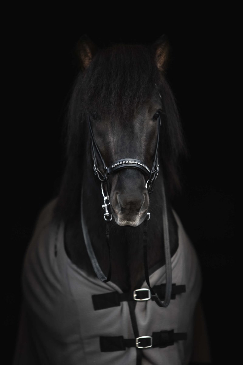 Hanoverian Noseband "DIAMOND" with dark metal buckles and anthracite rhinestones - animondo.dk - NR-DIA-ANT