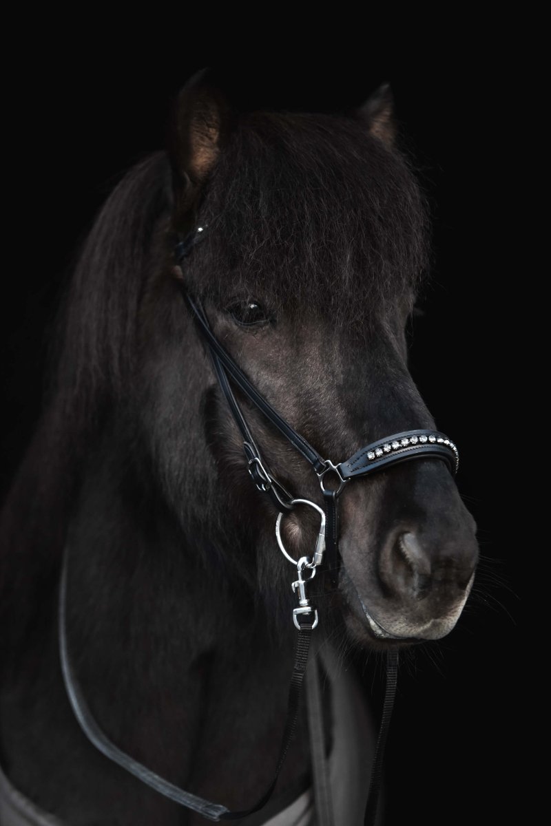 Hanoverian Noseband "DIAMOND" with dark metal buckles and anthracite rhinestones - animondo.dk - NR-DIA-ANT